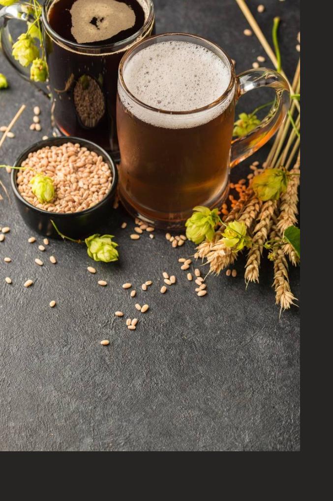 Canecas de cerveja com malte e lúpulo
