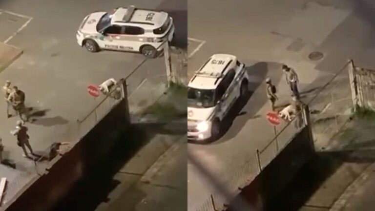 PM atira e mata pitbull durante abordagem em Itajaí