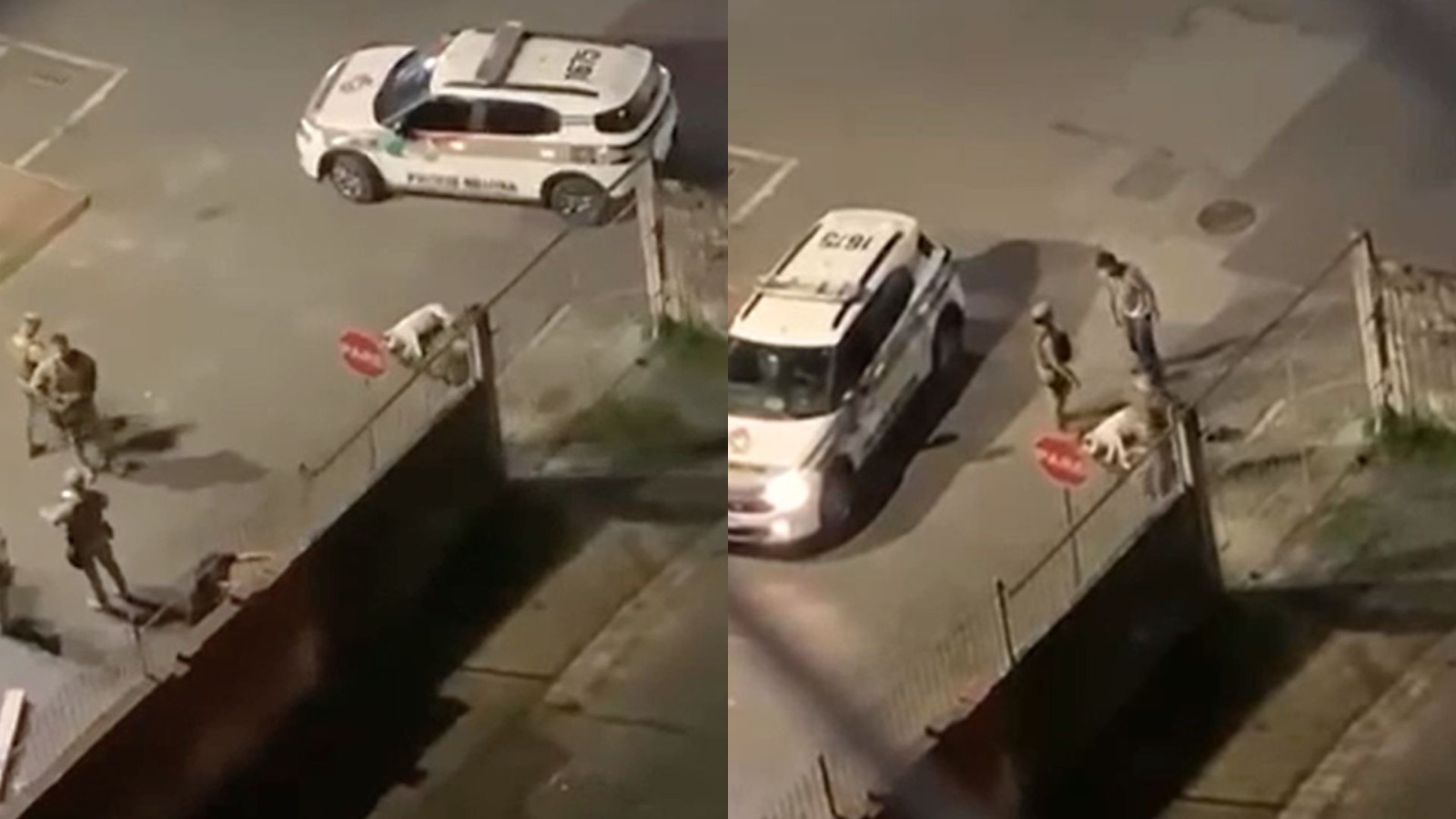 Pitbull avança contra PM no Centro de Itajaí, policial atira e mata o cão em legítima defesa