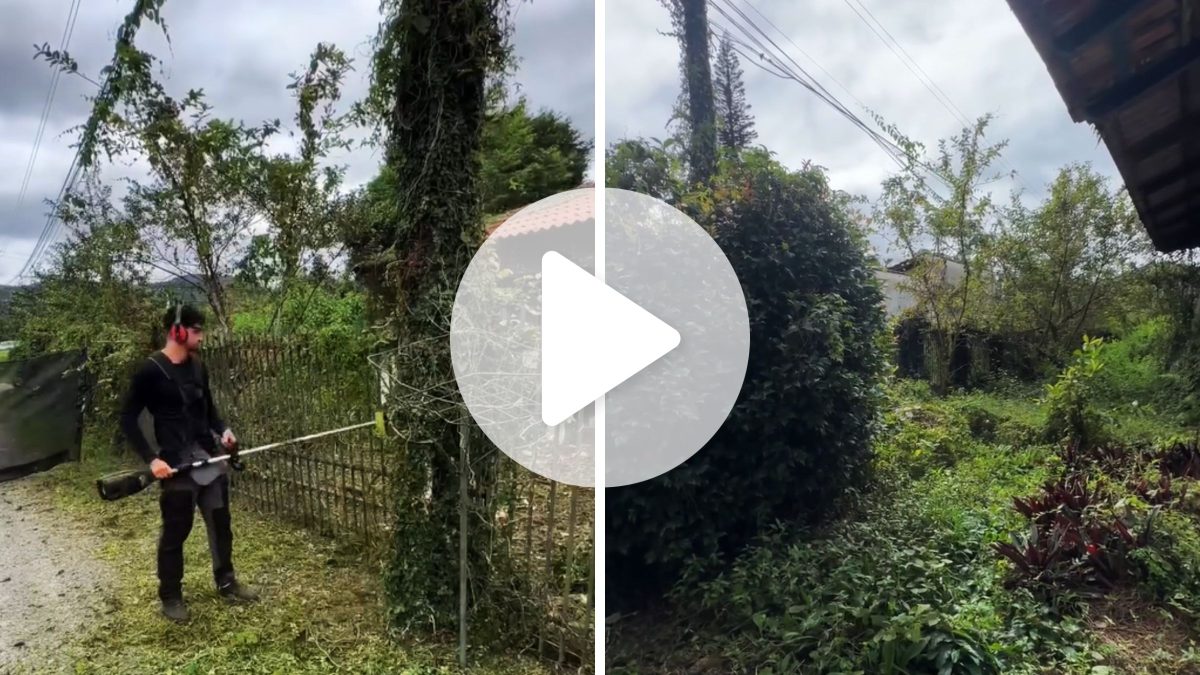 Influenciador viaja 130 km de Curitiba até Joinville para limpar jardim de viúva sem recursos